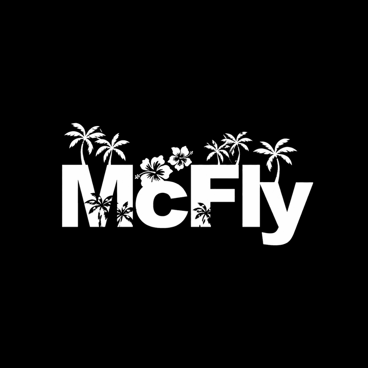 MC FLY