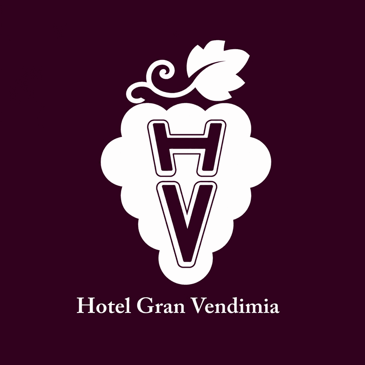 HOTEL GRAN VENDIMIA