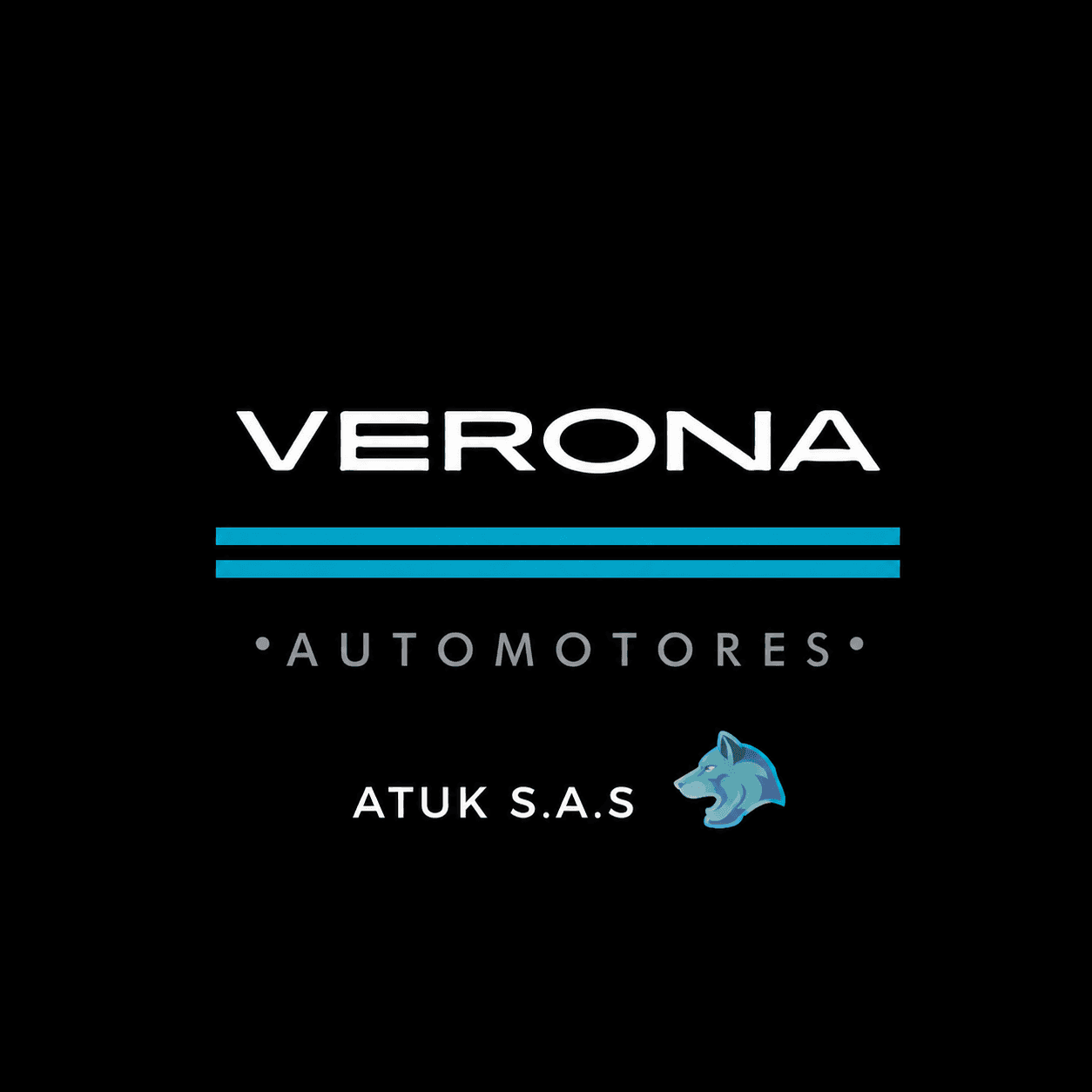 VERONA AUTOMOTORES